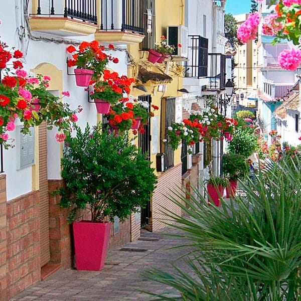 estepona apartments esesta675 20
