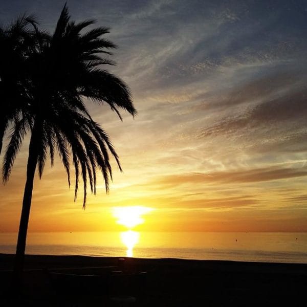 estepona apartments esesta675 24