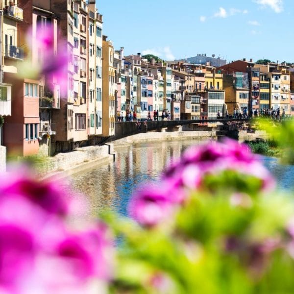 how to rent a property