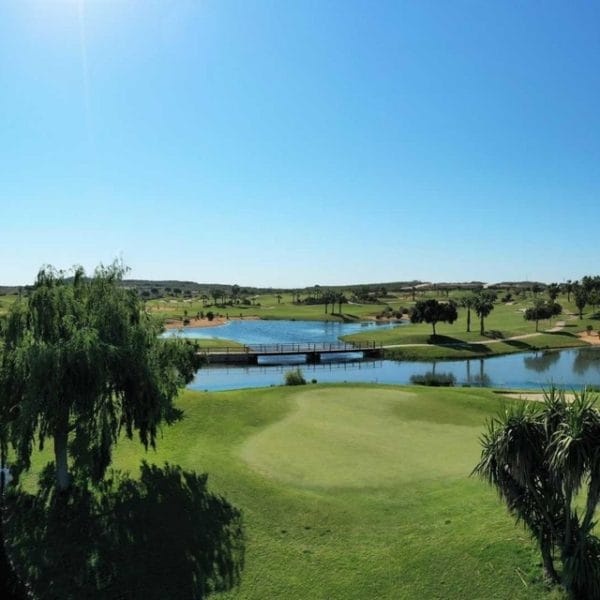 alicante villas esalav946 6