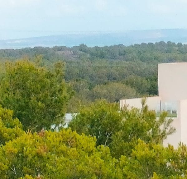 villamartin townhouses esvilv959 11