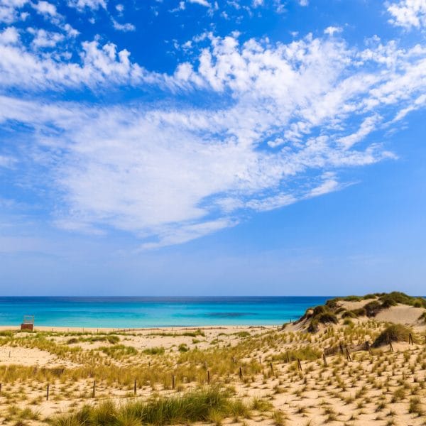 mallorca property esmala974 26
