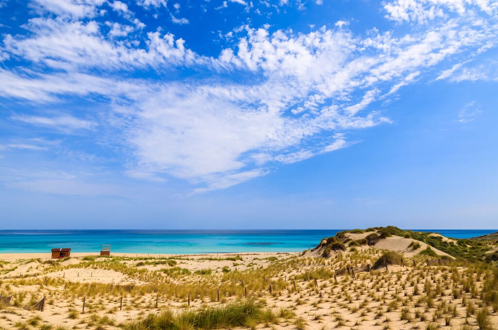 mallorca property esmala974 26