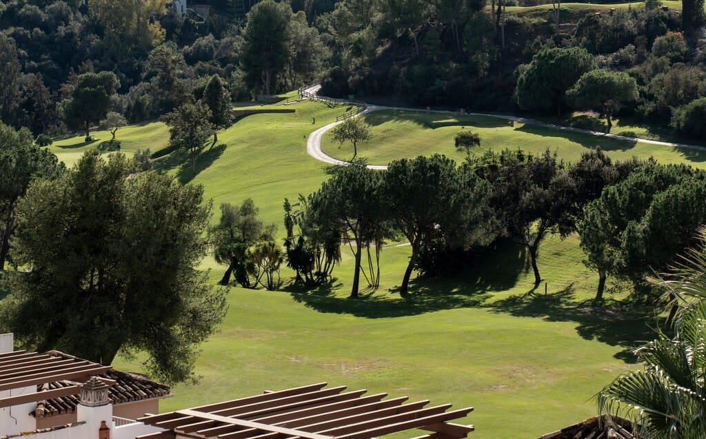 marbella penthouse esmara149 4