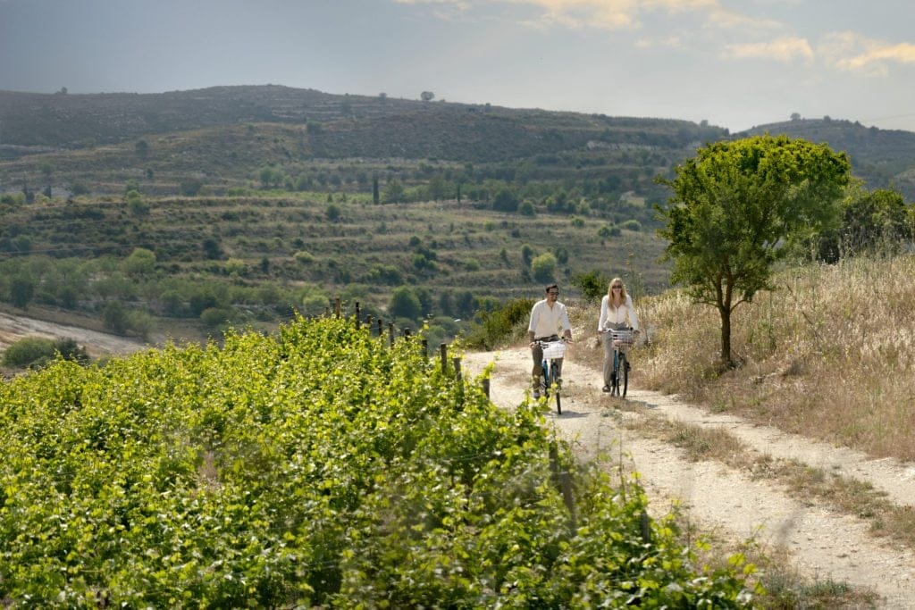 nature vineyards 1024x683.jpg