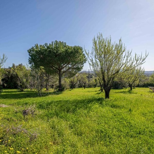 algarve villa ptlouv463 6