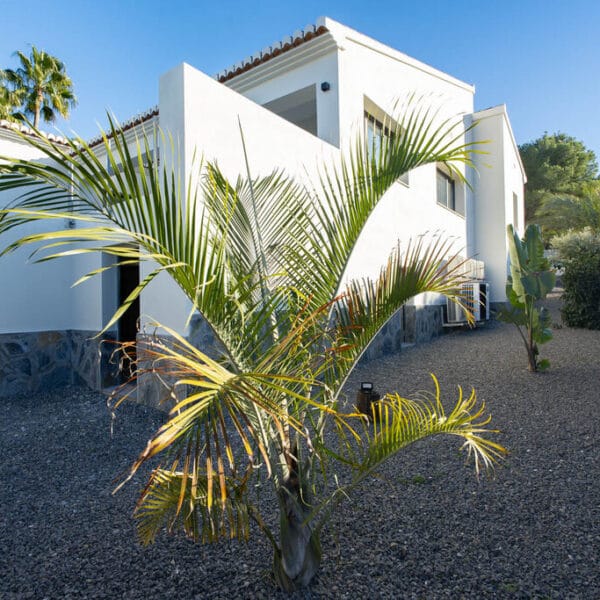 javea villa esjavv398 12